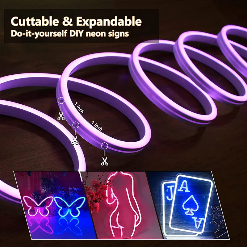 LED Neon Rope Lights