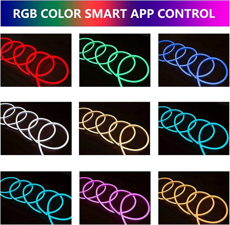 LED Neon Rope Lights
