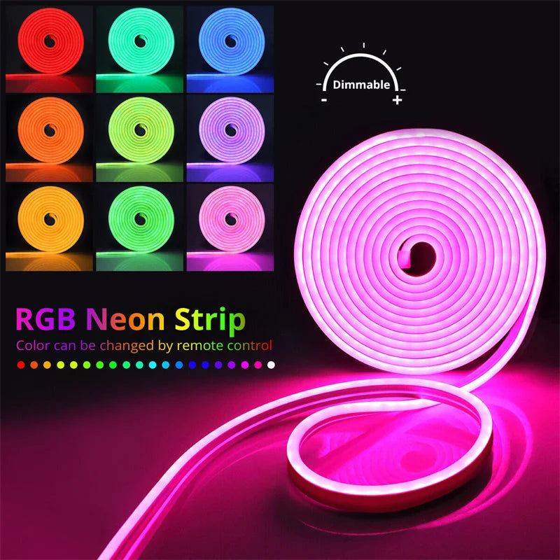 LED Neon Rope Lights